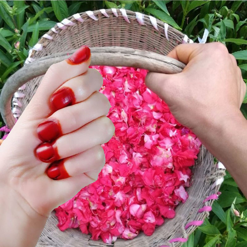 Nail Art Natural - 남녀공용 40g 헤나 네일 염색 파우더