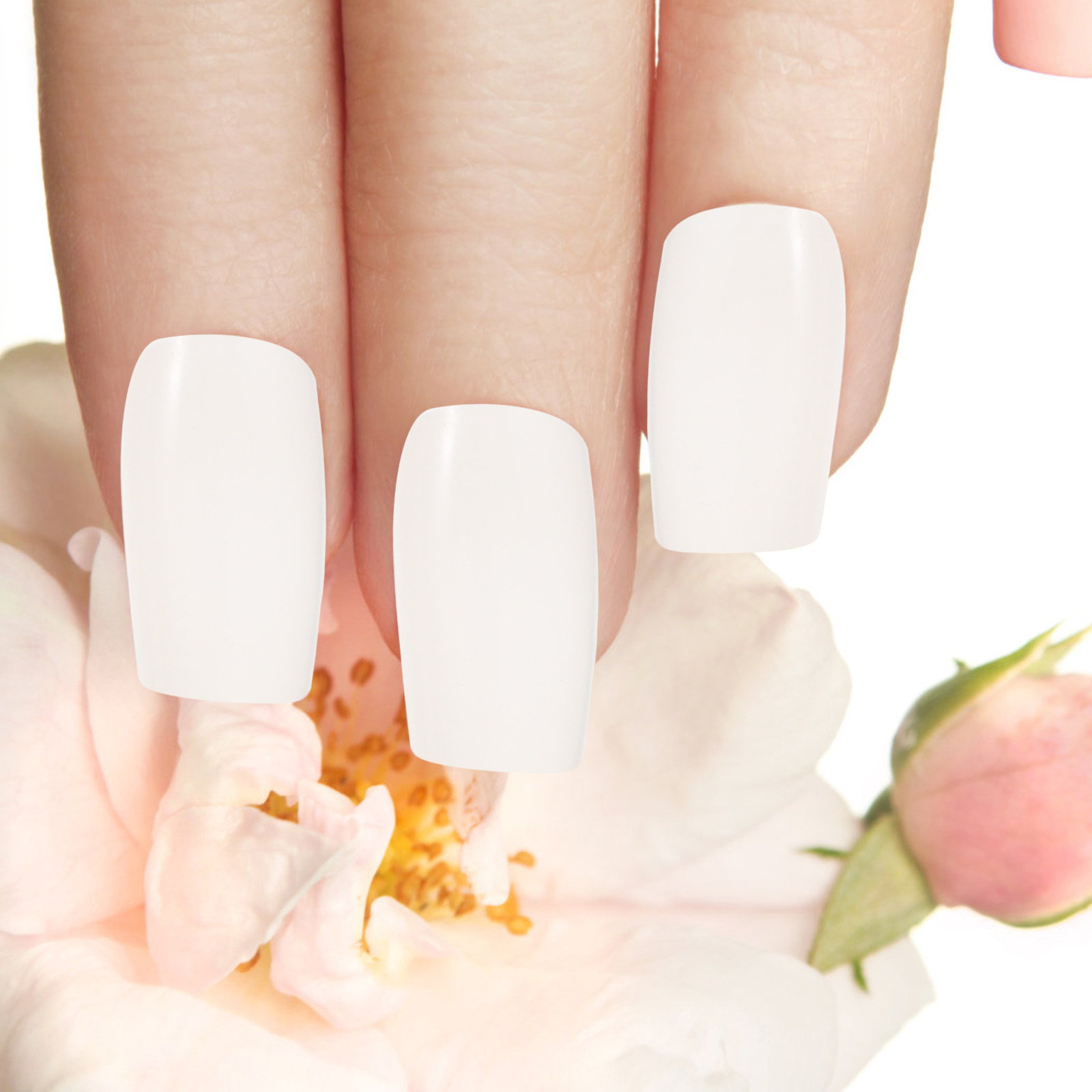 500개입 발레 스타일의 프랑스풍 코핀 네일 팁, 전문 - Nail Art France 리뷰 및 가격