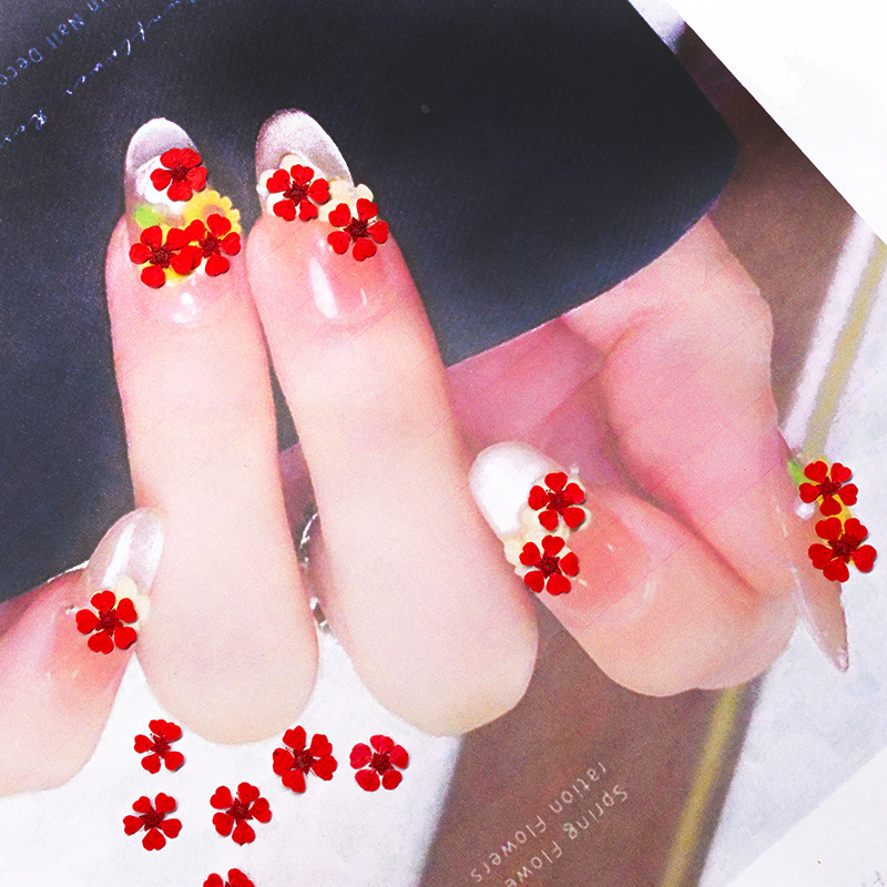 96개 미니 1.5cm 천연 압화 화려한 진주빛 꽃 말 - Nail Art Natural 리뷰 및 가격