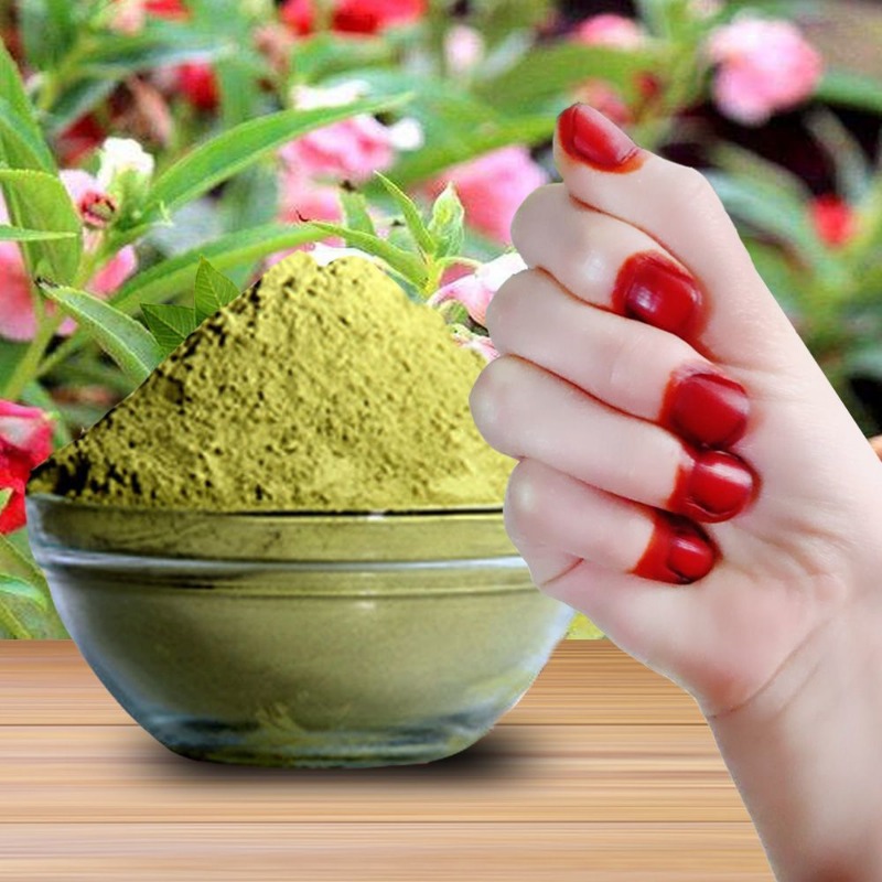 남녀공용 40g 헤나 네일 염색 파우더 천연 식물 헤나 - Nail Art Natural 리뷰 및 가격